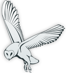 No cost live gay sex cams together with free porn chat